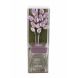 Aroma Reed Diffuser Set Lavender Fragrance oil in Squire Glass Bottle