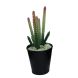 Artificial Plant cactus Shrub in Tin Pot