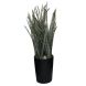 Artificial Plant Green Frosted Shrub Leaves in Ceramic pot