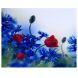Deep Red & Blue Hues Floral Canvas Painting(PAINT1814)