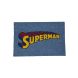Saral Home Blue Coir Superman Printed Natural Fiber  Door Mats(SOS-1503-BLUE)